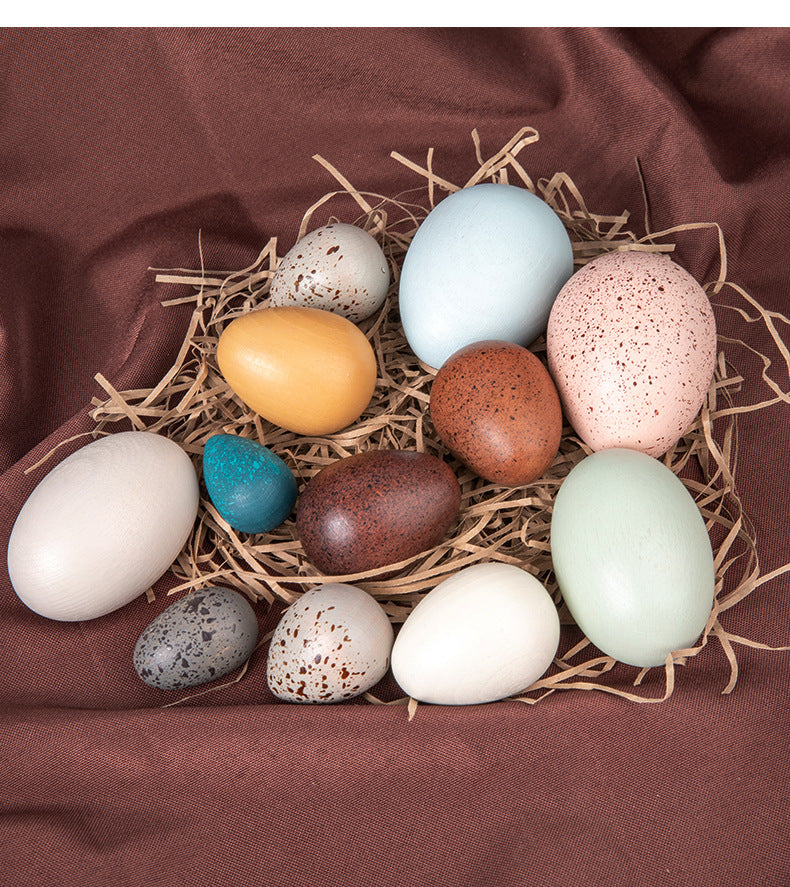 Montessori Dozen Wooden Bird Eggs